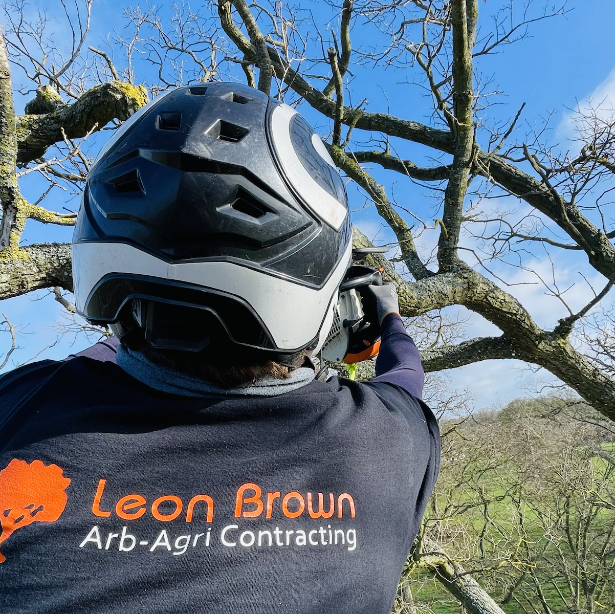 leon brown tree surgery norfolk and suffolk 3