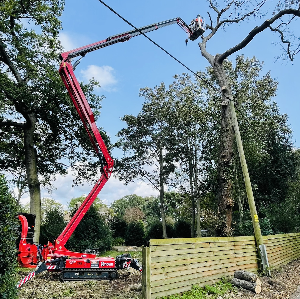 leon brown tree surgery norfolk and suffolk 4